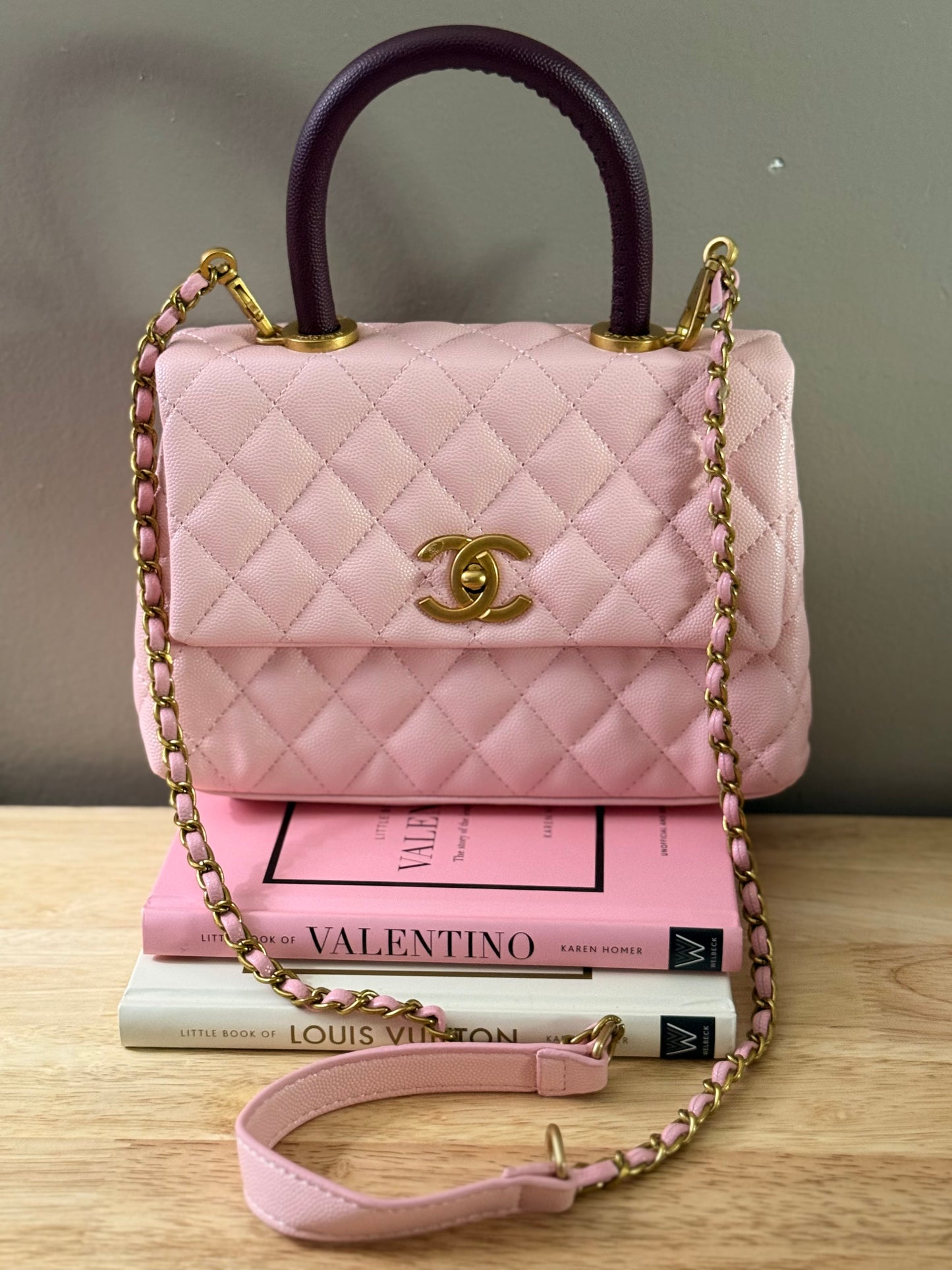 The Lizza purse